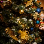 image_2a89e8eb7acc.jpg